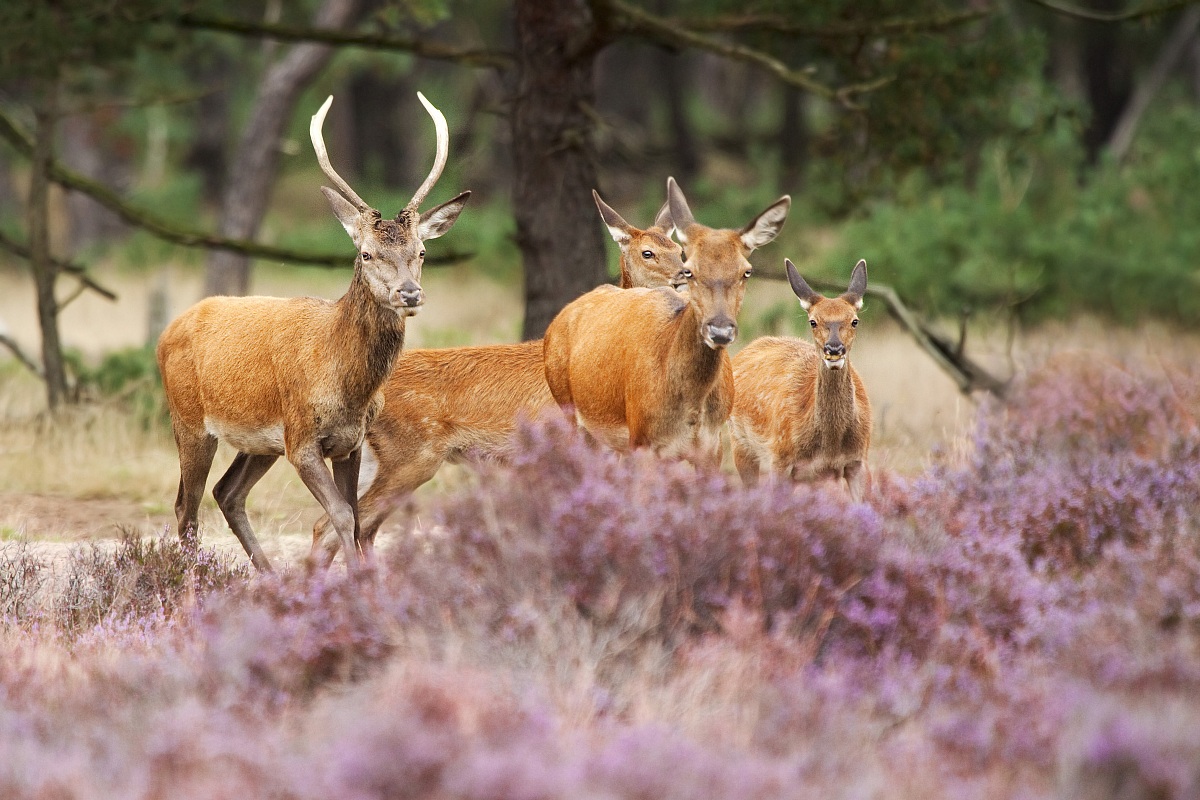 Brothers and sisters