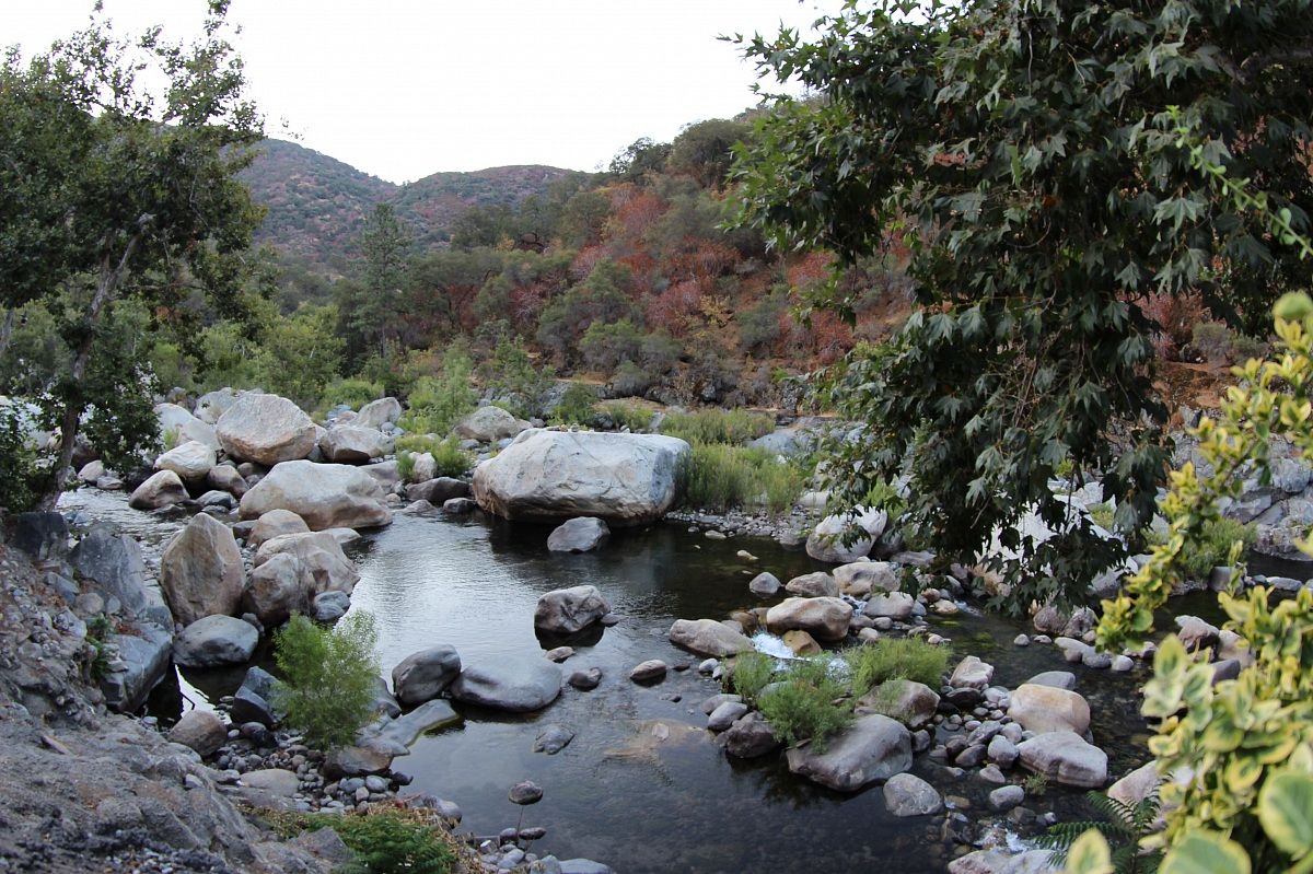 Sequoia National Park