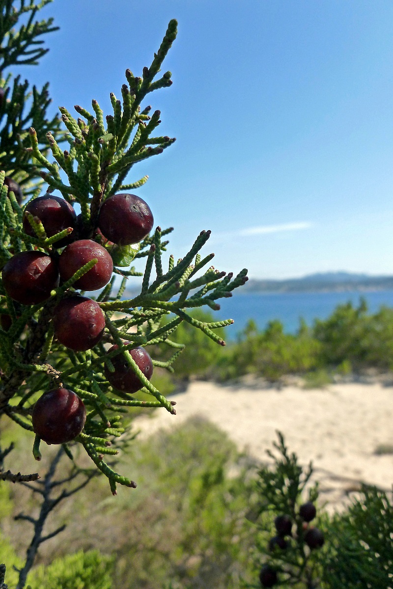 Semplice ma... natura(le)