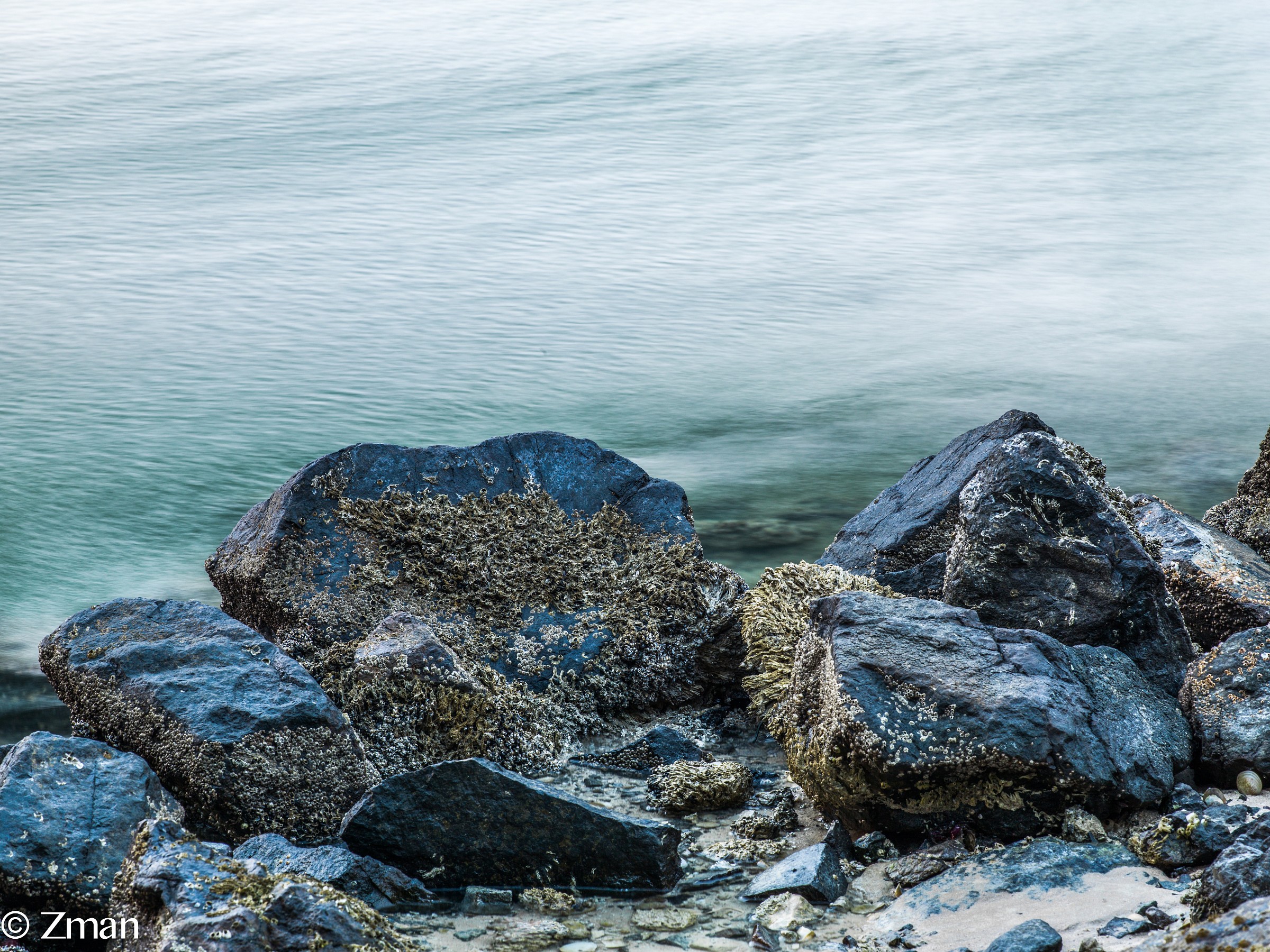 First Shots with my new H5D 50 Hasselblad