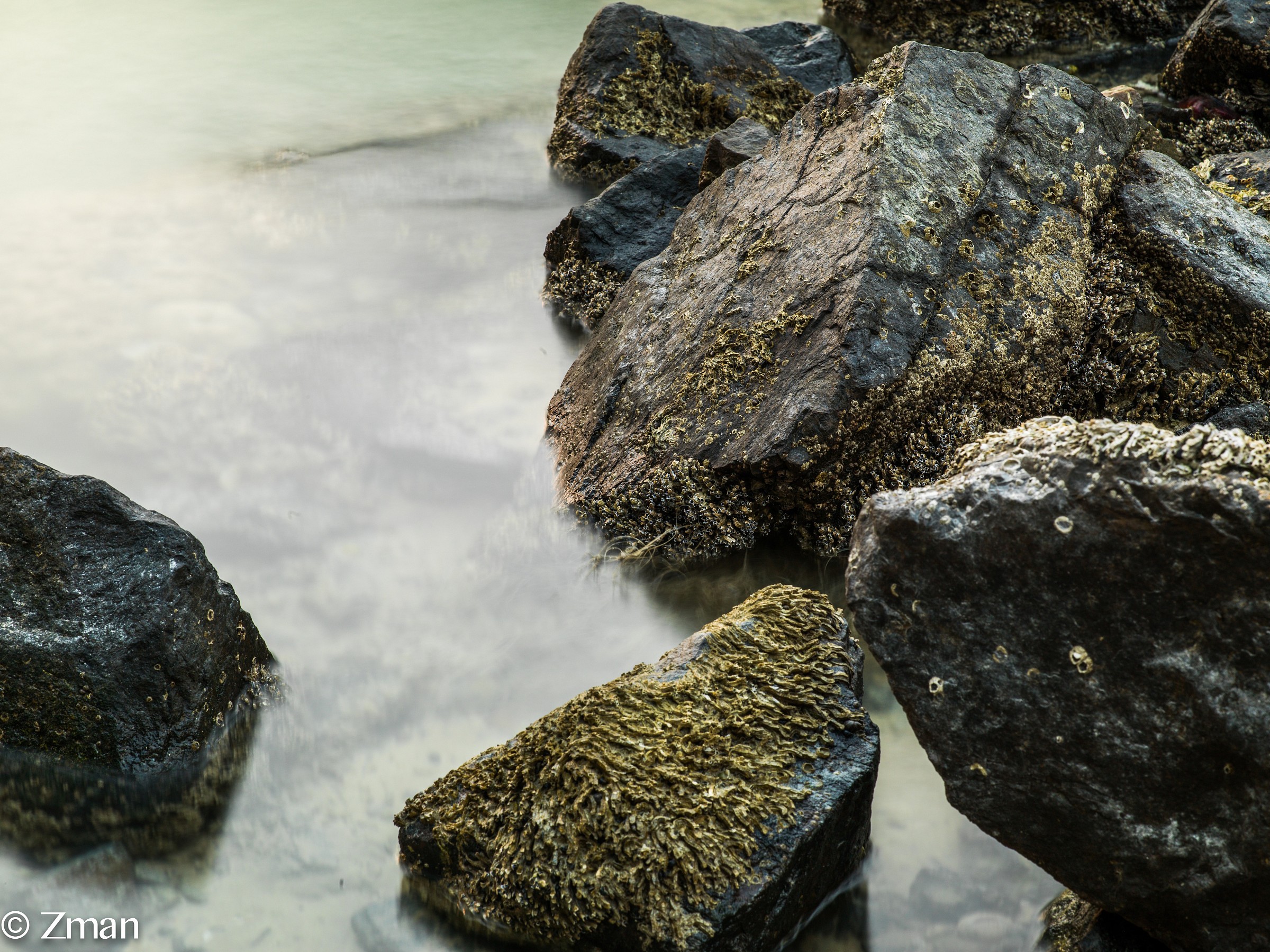 First Shots with my new H5D 50 Hasselblad