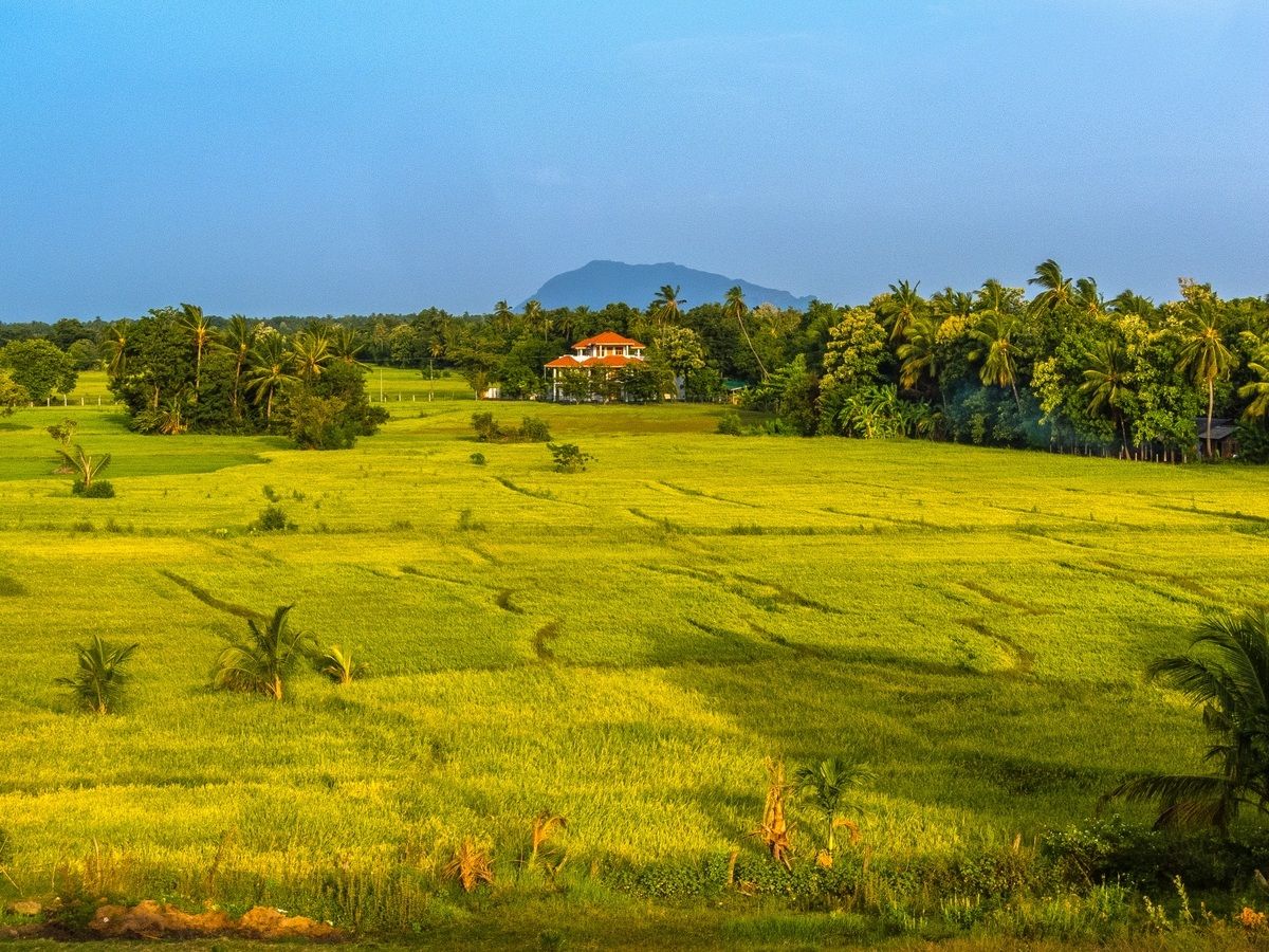 Sri Lanka - Sulla strada di Trincomalee