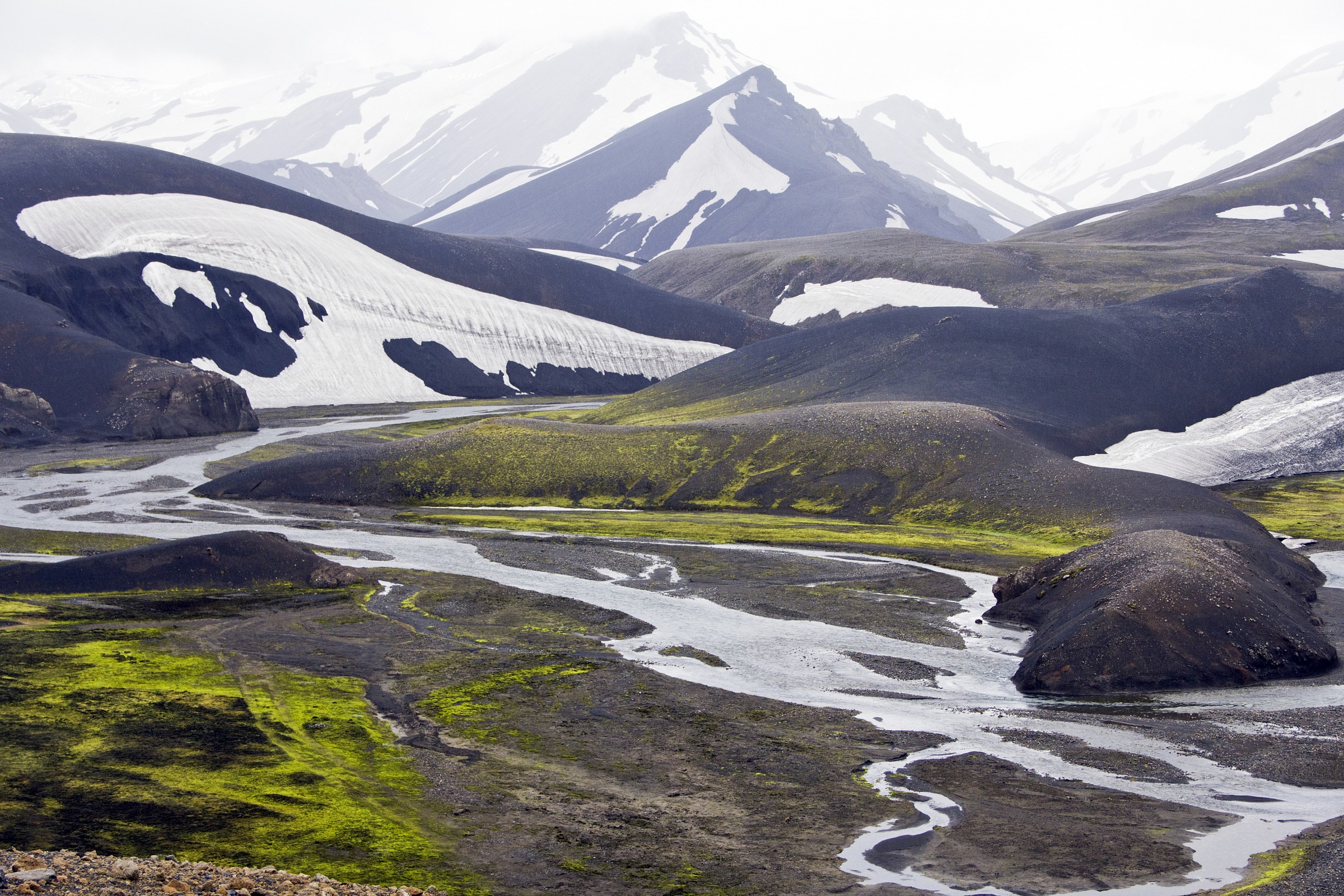 Il nero, il bianco, il verde