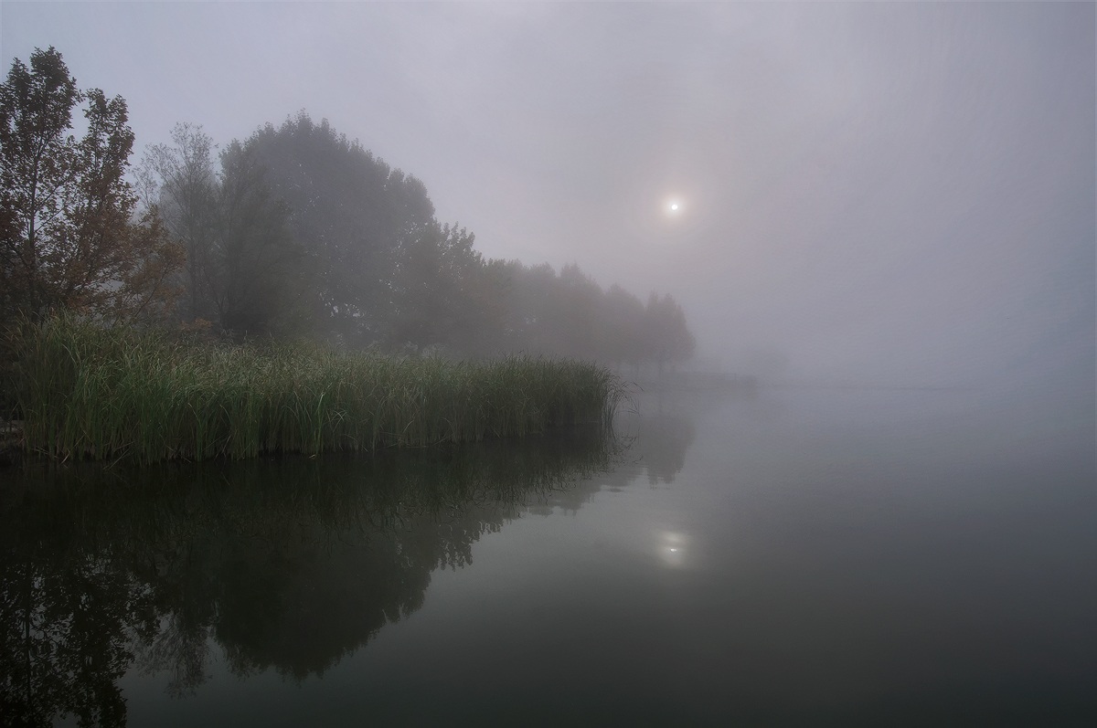 Nebbia sul lago di Varese