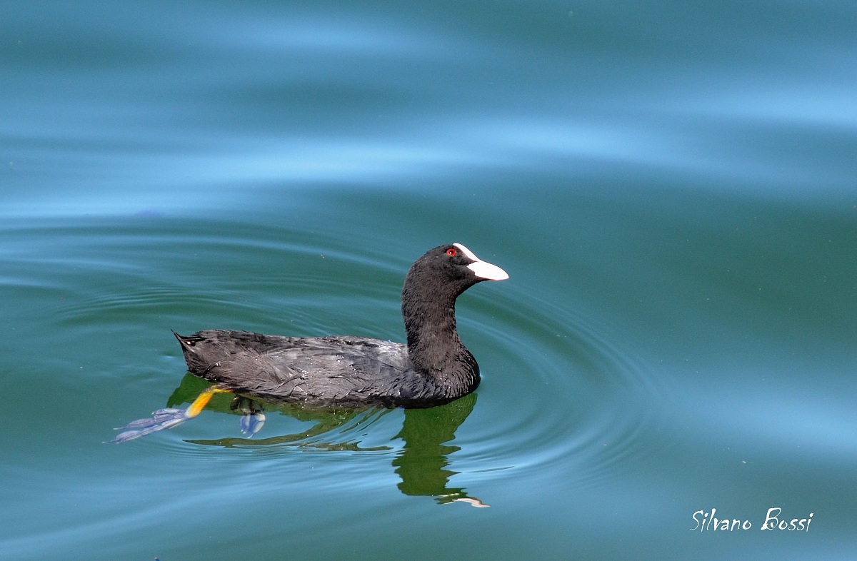 uno sguardo al cielo