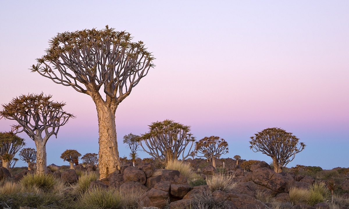 L'altra parte del tramonto