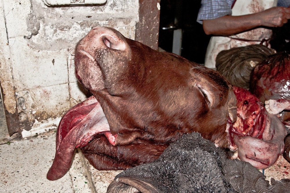 The cruelty of the market