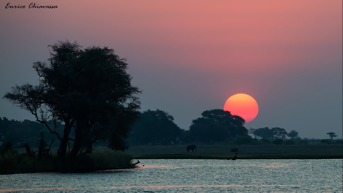 Tramonto con elefanti
