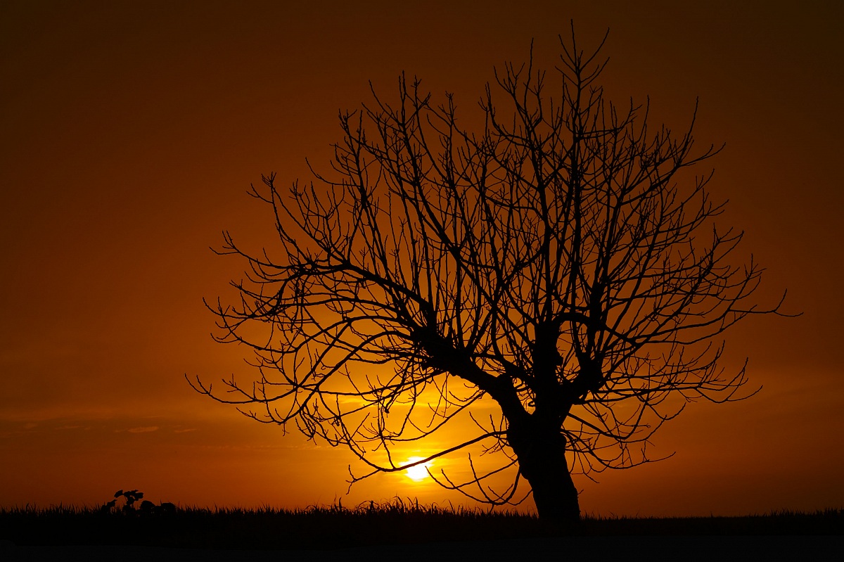 Chiamatelo "Tetto Verde"