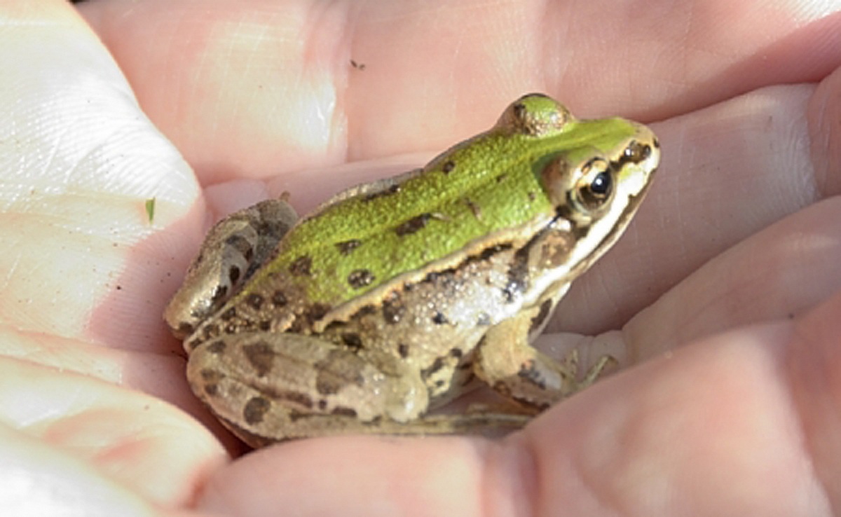 Fede prima della cura di Photoshop  ;)