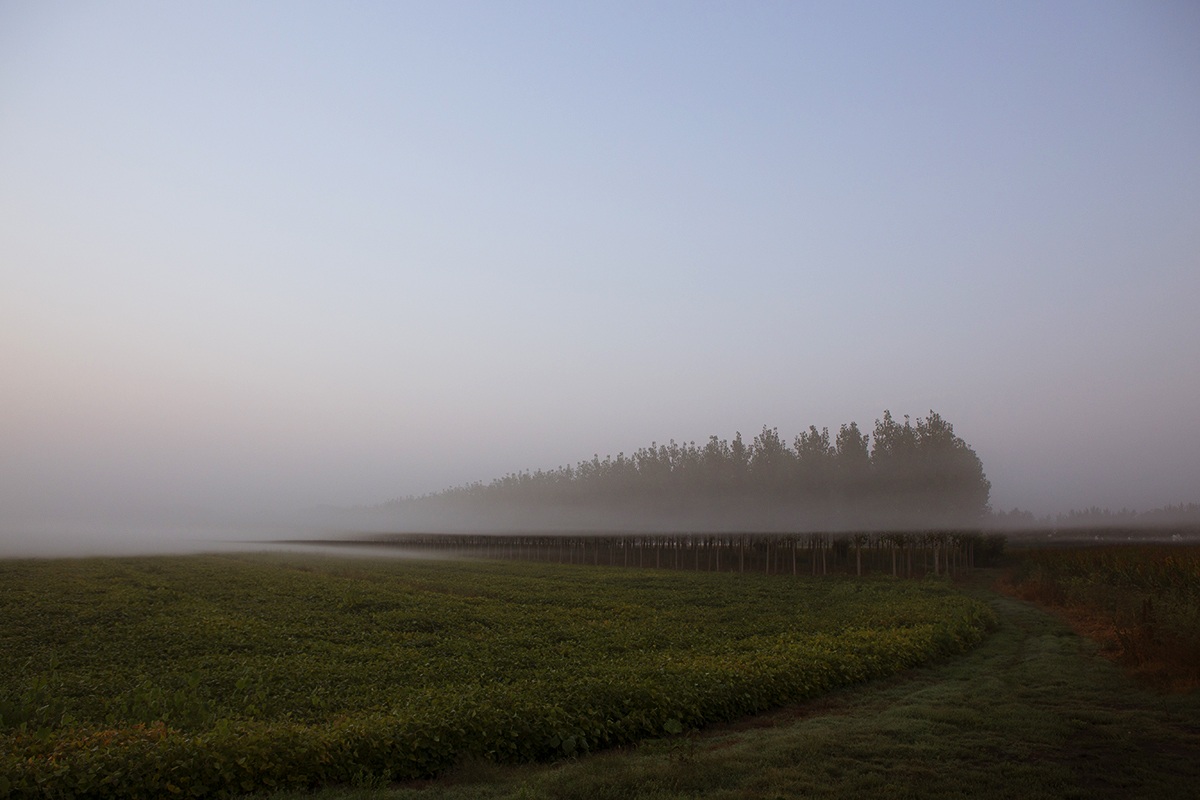 Veronese Valley before dawn