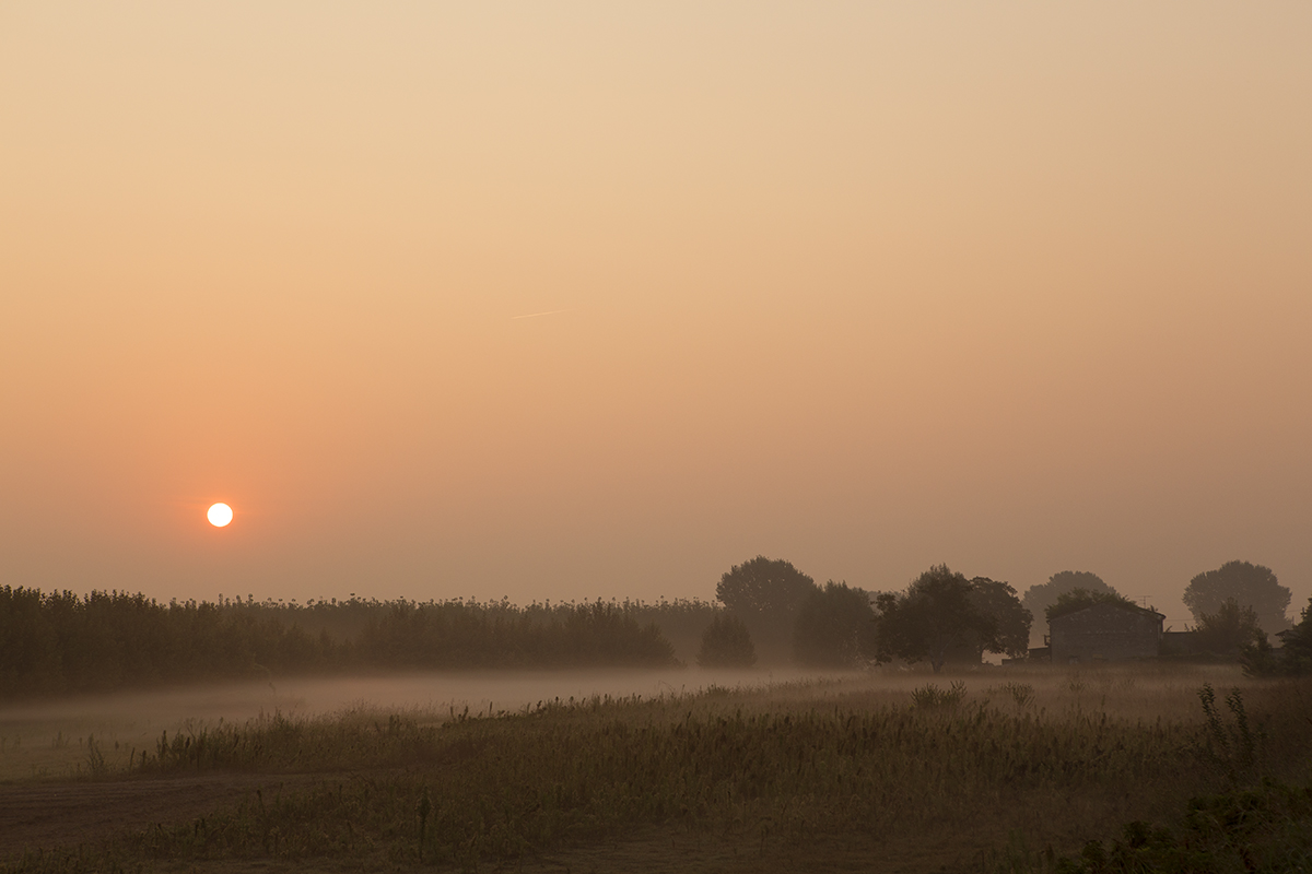 Sunrise in the Veronese plain - 2
