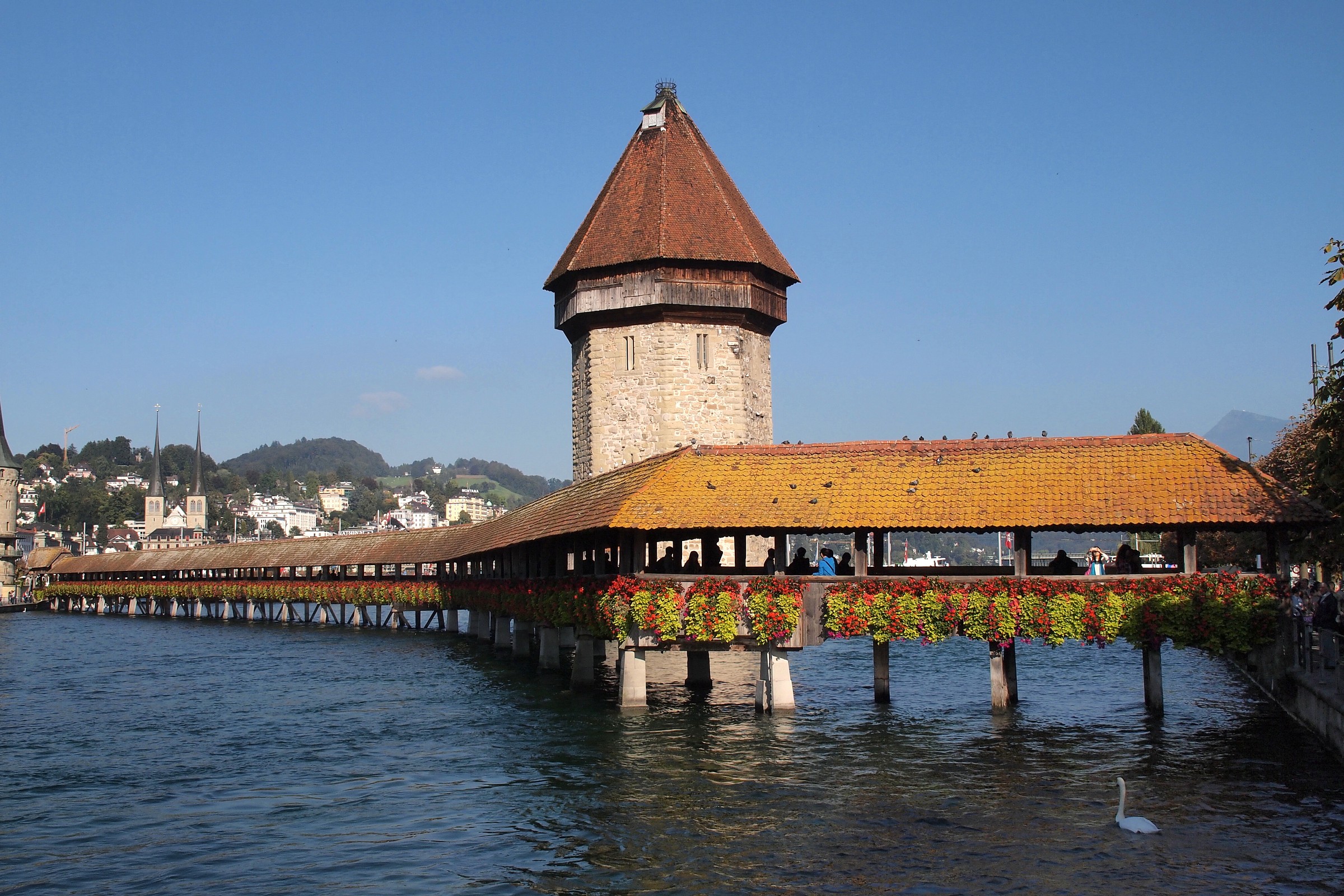 Il ponte di Lucerna (ch)