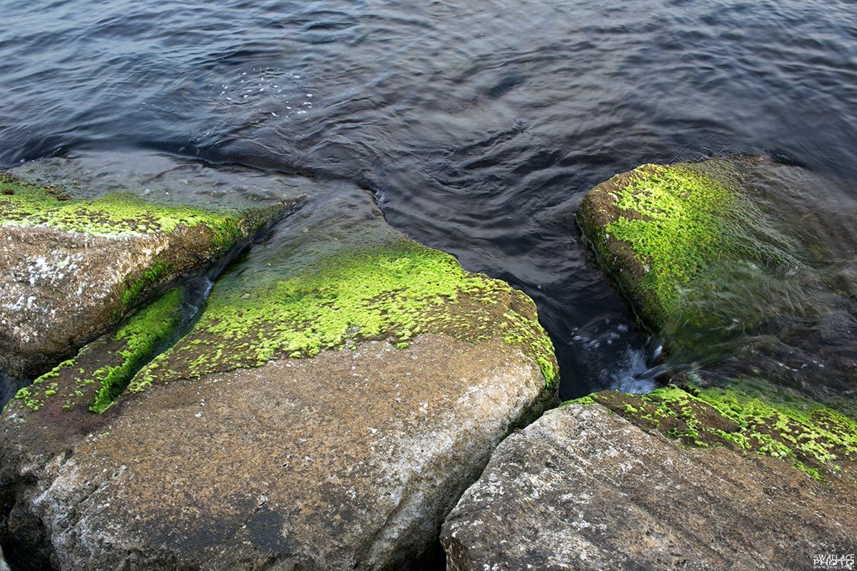 Colors of nature ...