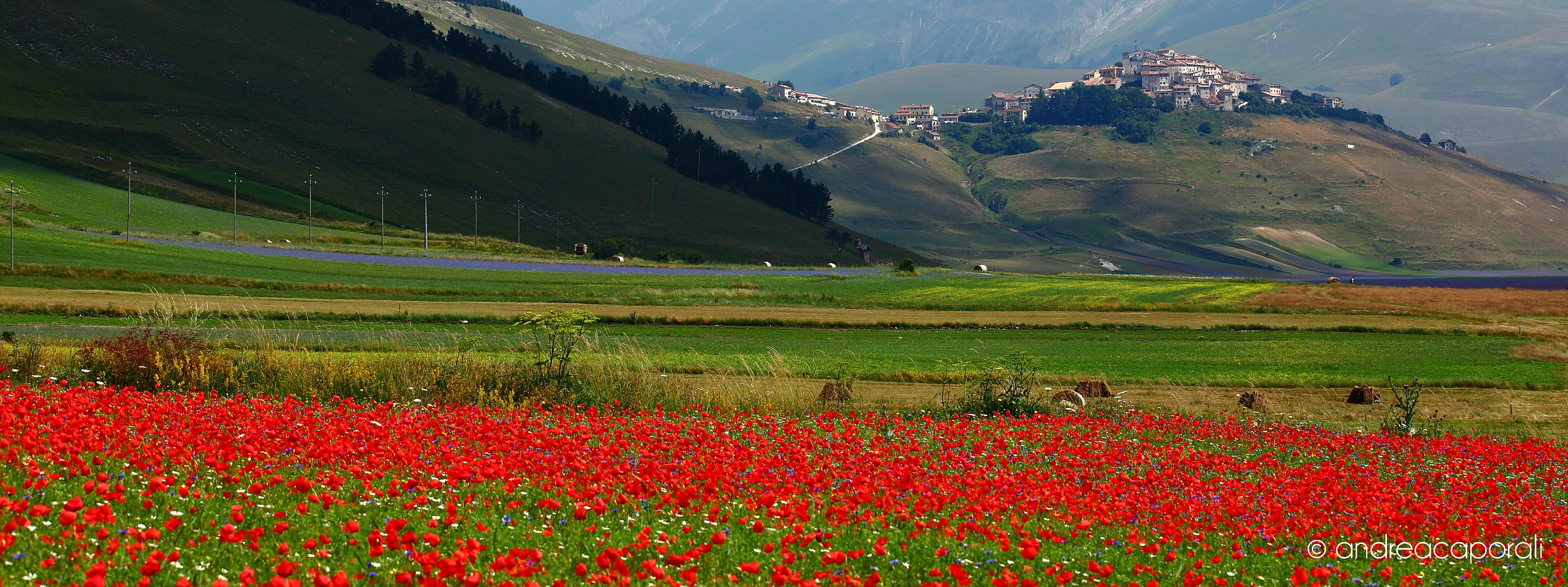 Castelluccio 2013