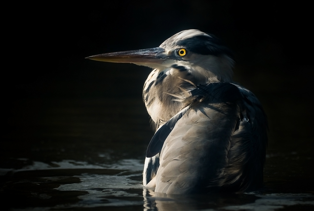 In un raggio di luce