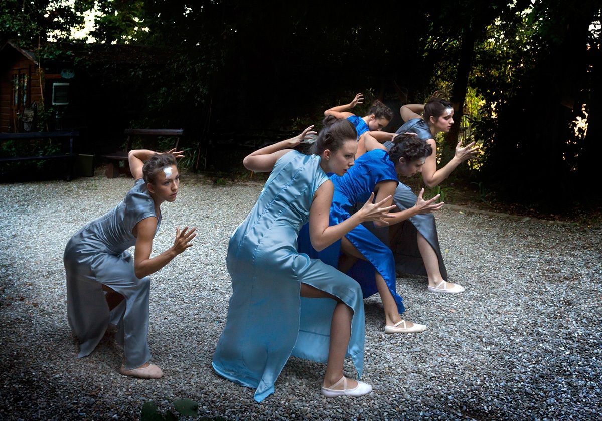 Dances among the trees