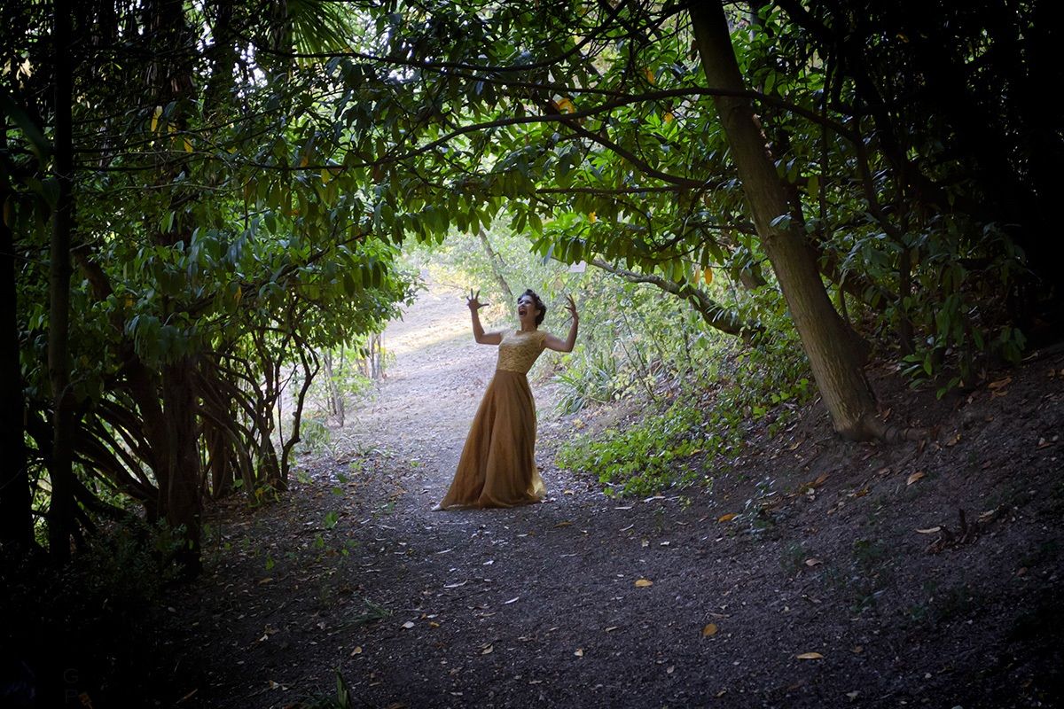 Dances among the trees