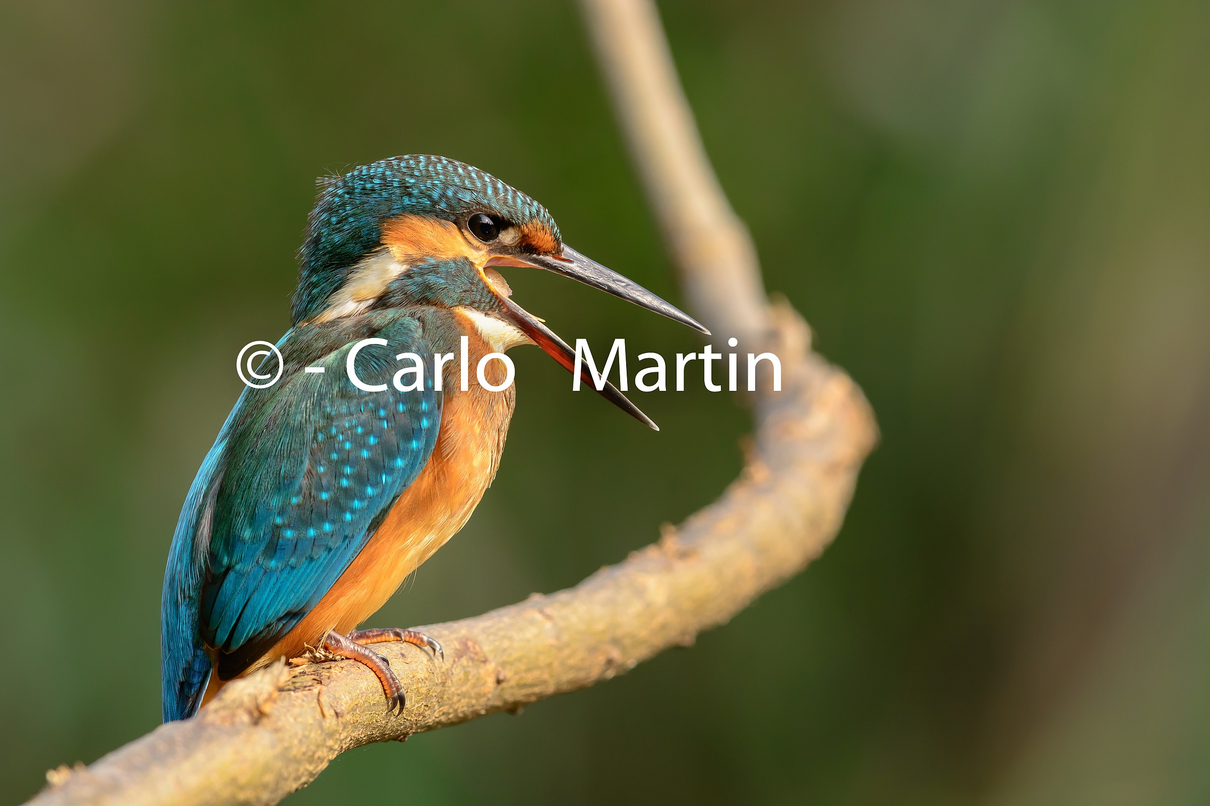 Expulsion in 3,2,1 ...