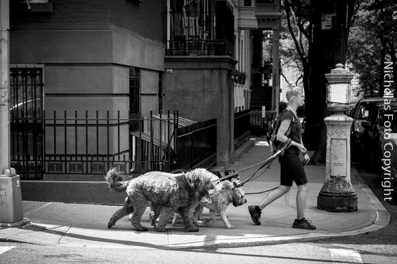 New York - la grande mela