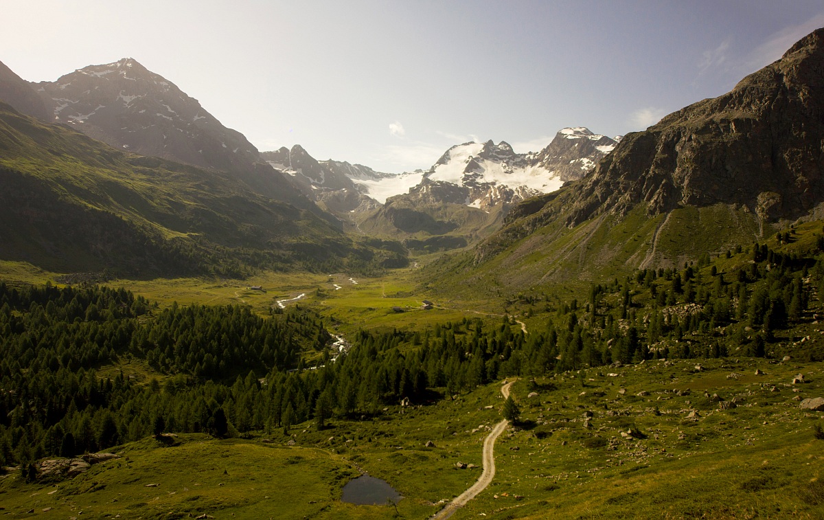 Val Viola - Altumeria
