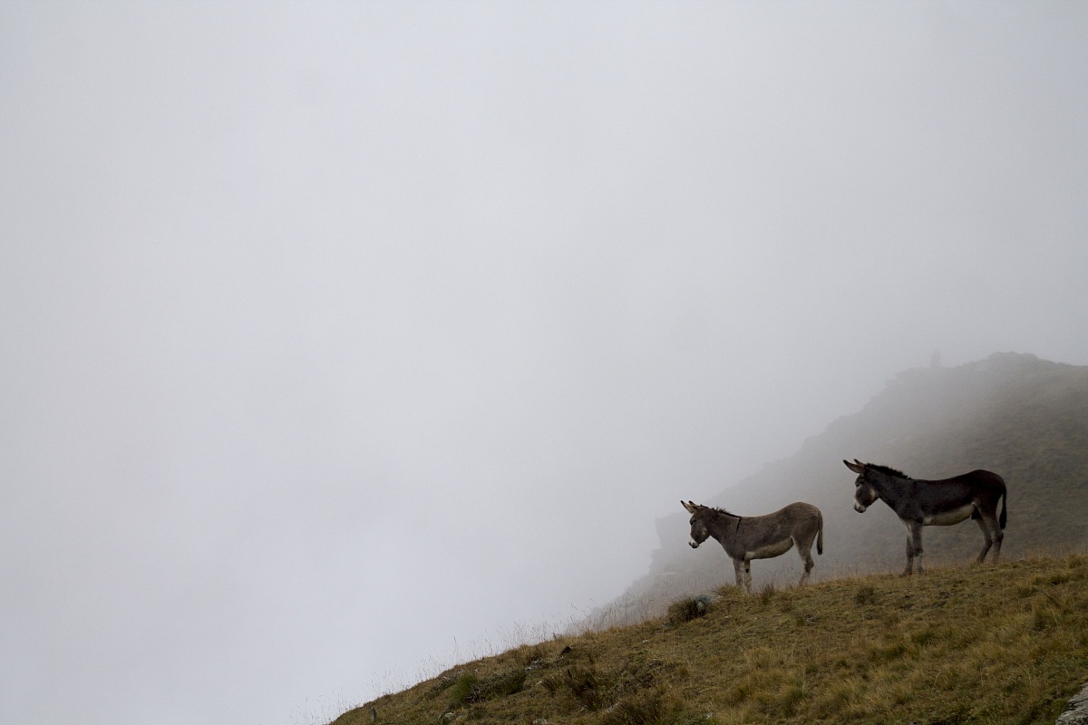 Sentinelle in val Chisone