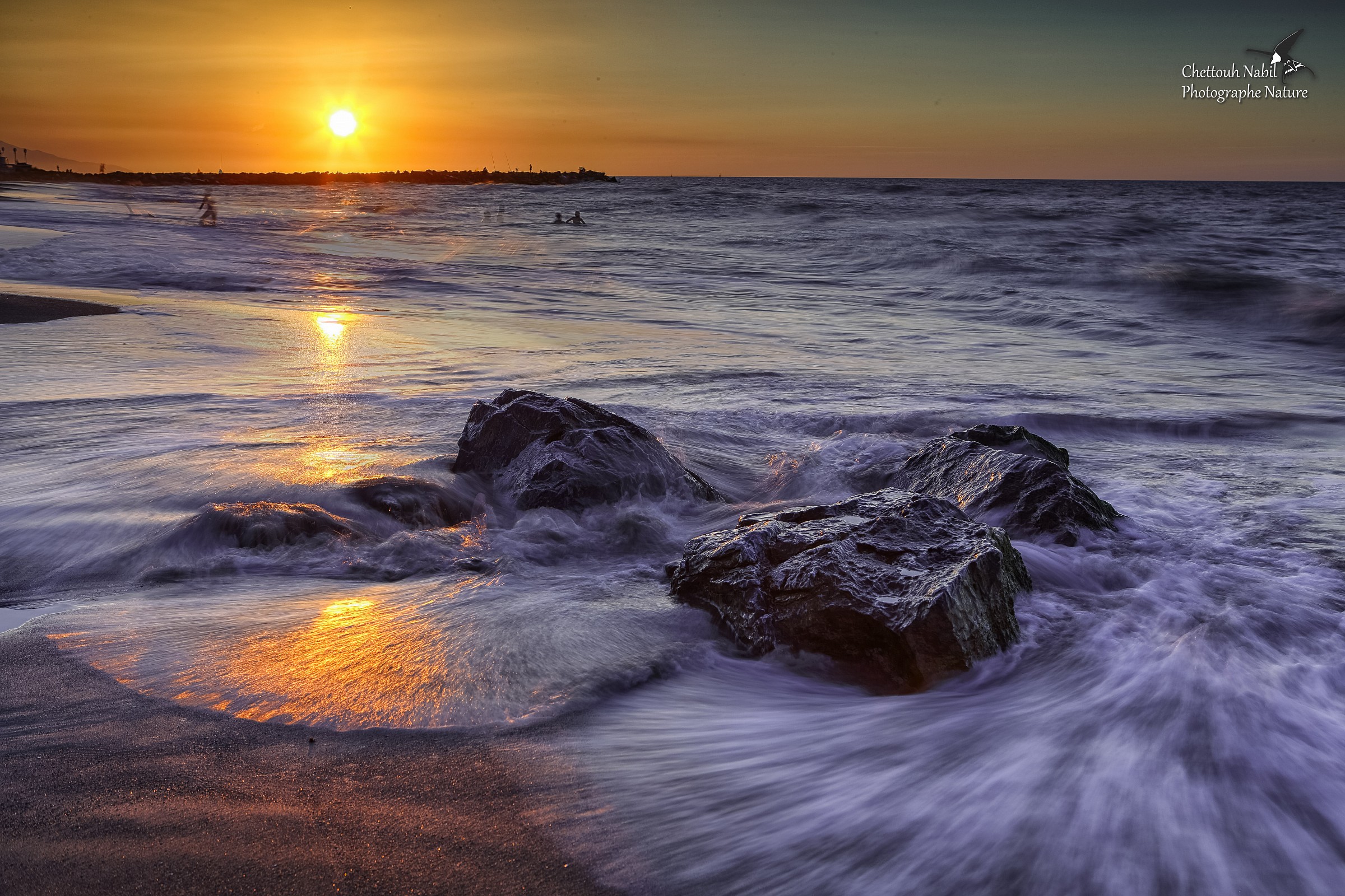 Wave, il Rock e il sole