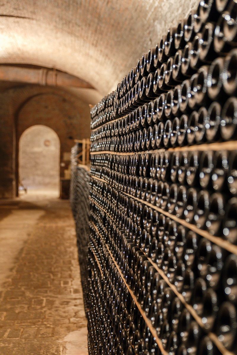 Canelli - Canitna Bosca # 2