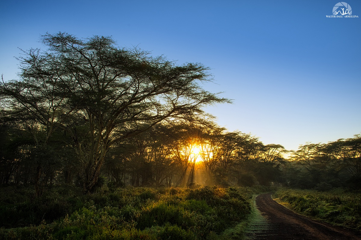 The road to Lake Nakuru