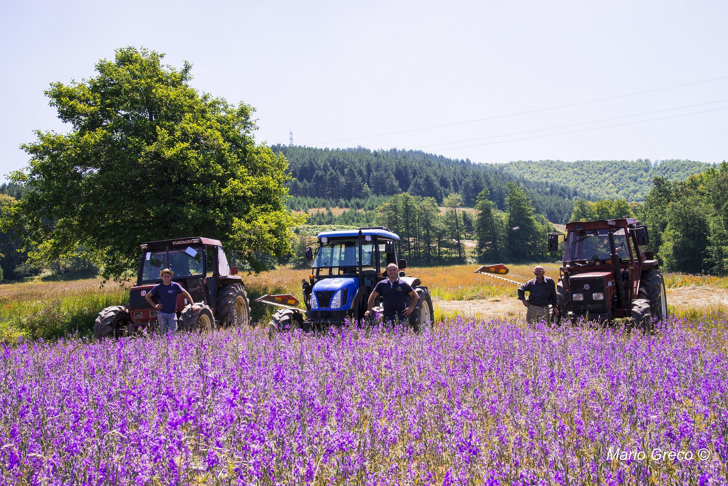 Trattoristi in posa.