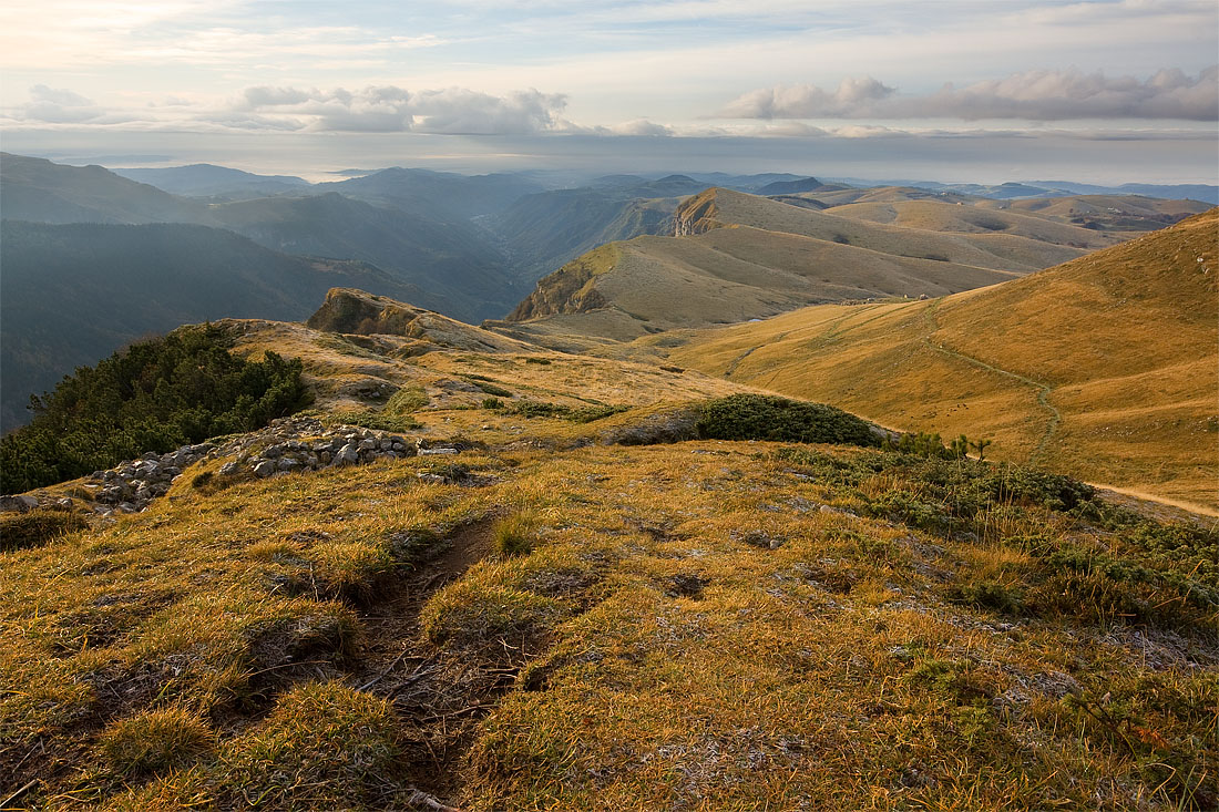 Passo Malera sulla foresta di Giazza