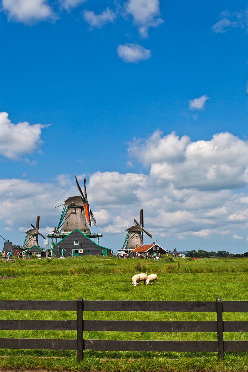 The windmills of Zaanse Schans