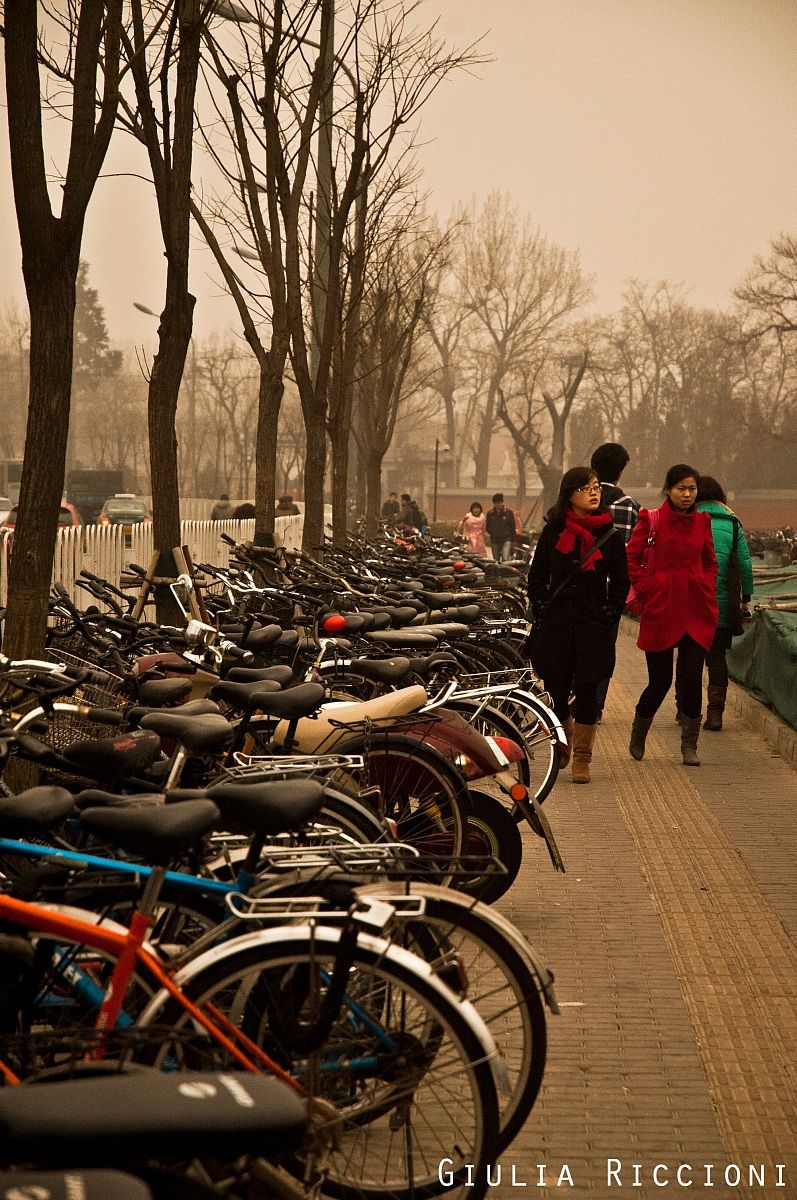 Nine million bicycles