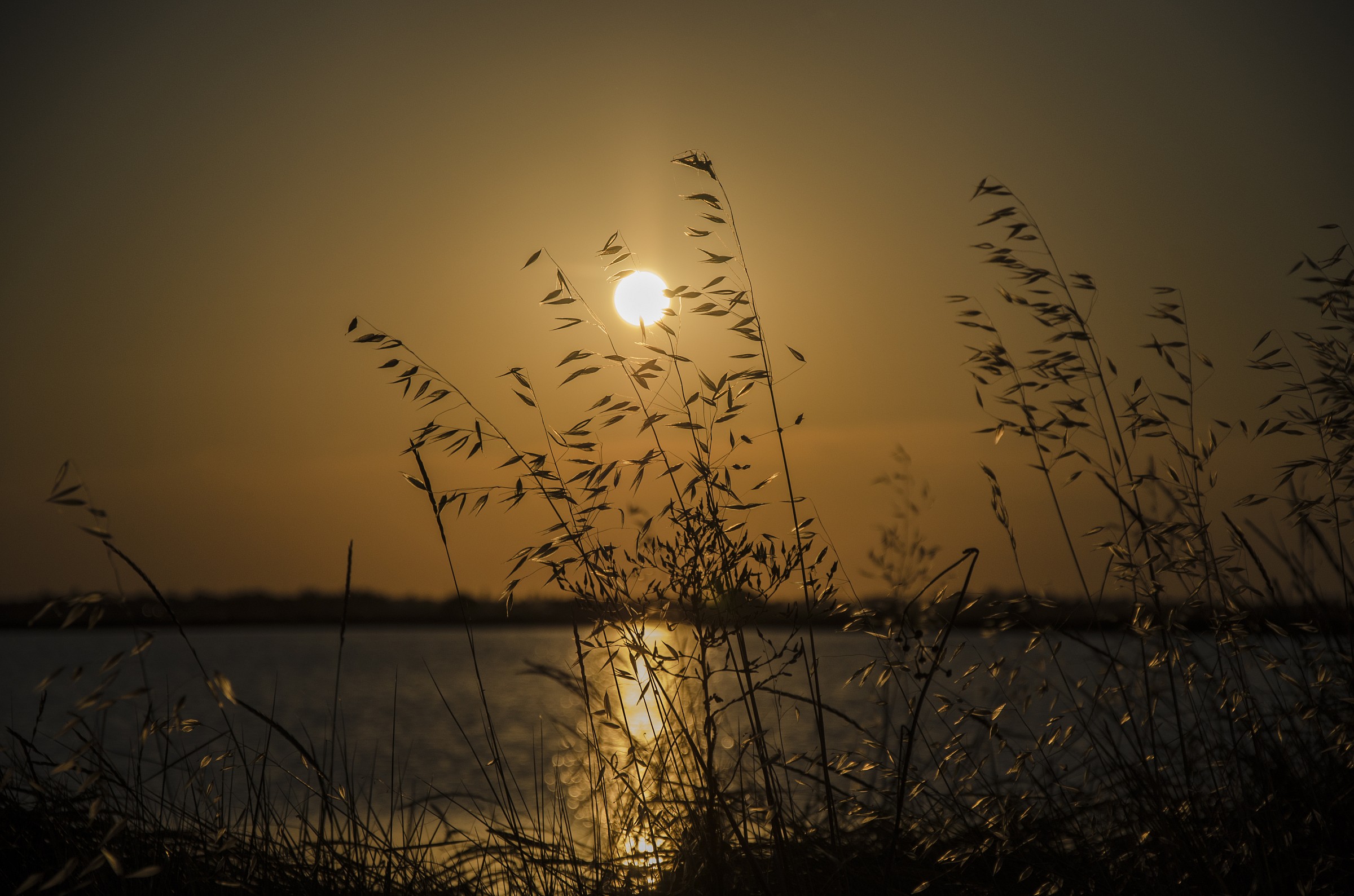 Saline of Cervia