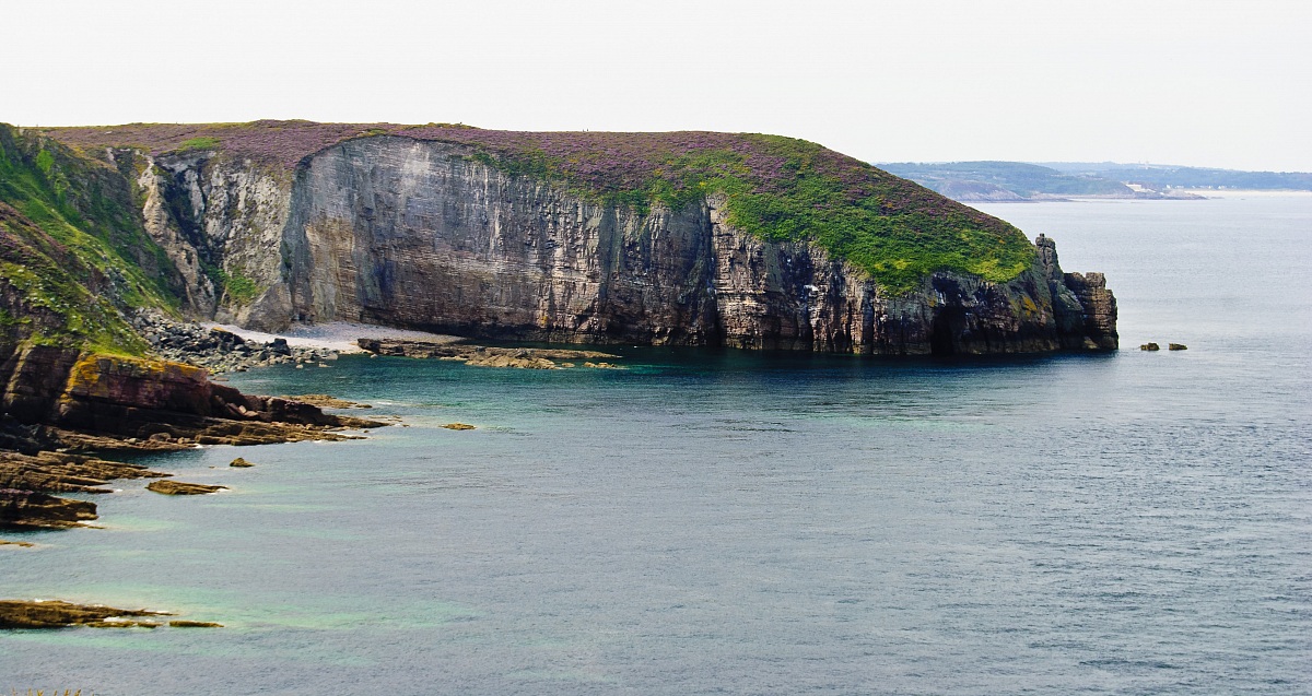 colori della brughiera