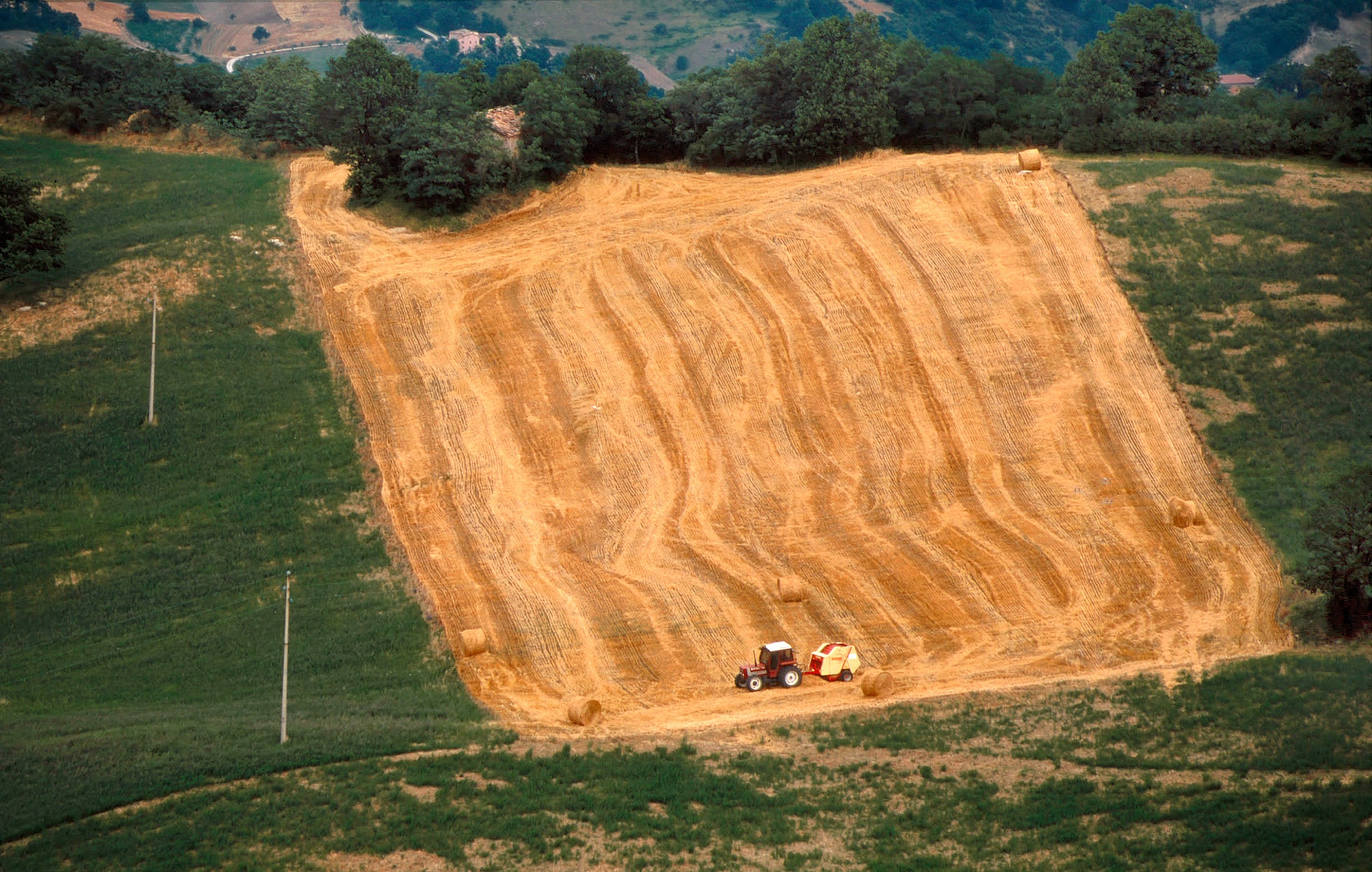 Colline di San Leo (rn) - 1993