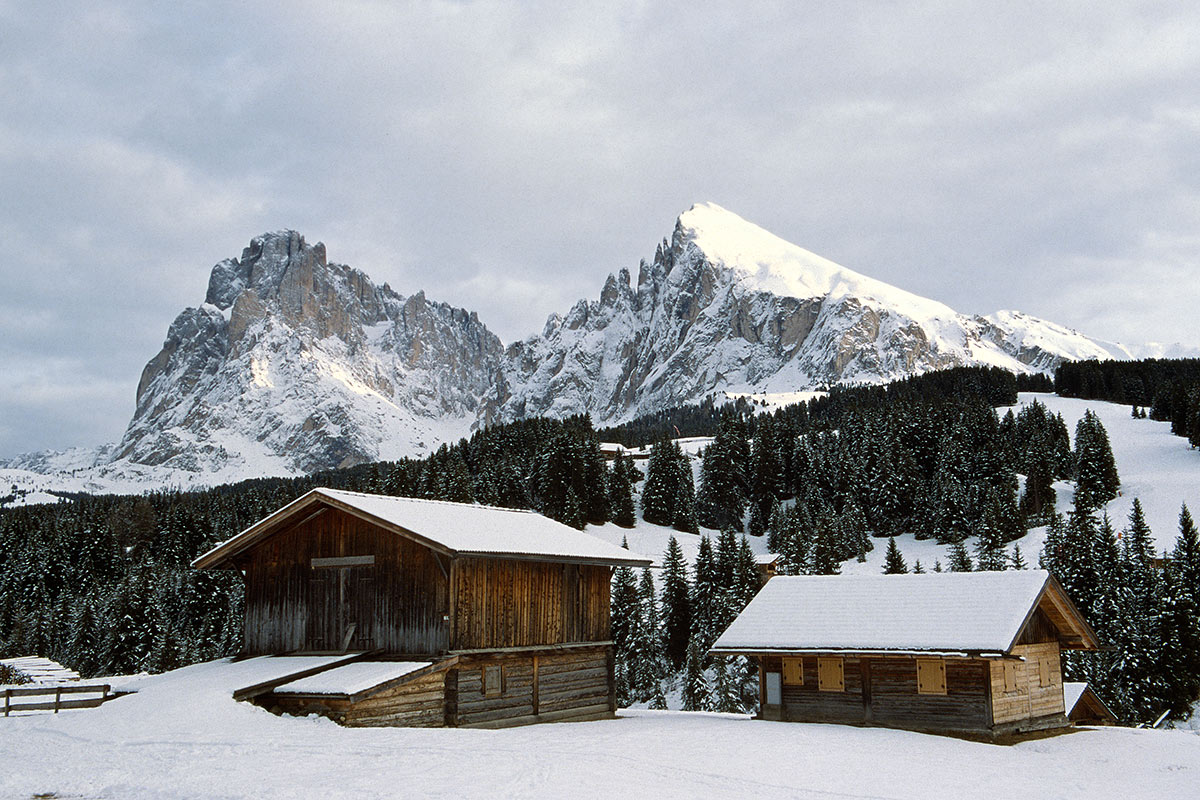Gruppo del Sassolungo visto dall'Alpe di Siusi (bz)