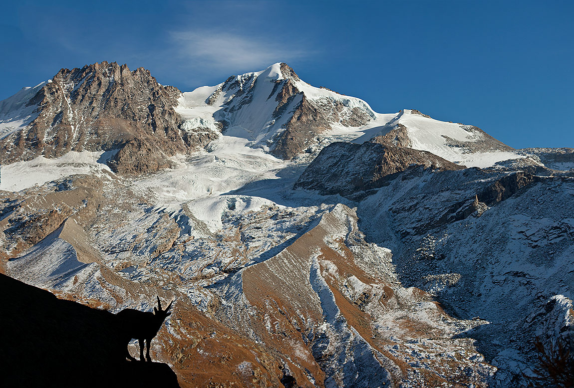 Gran Paradiso in autunno