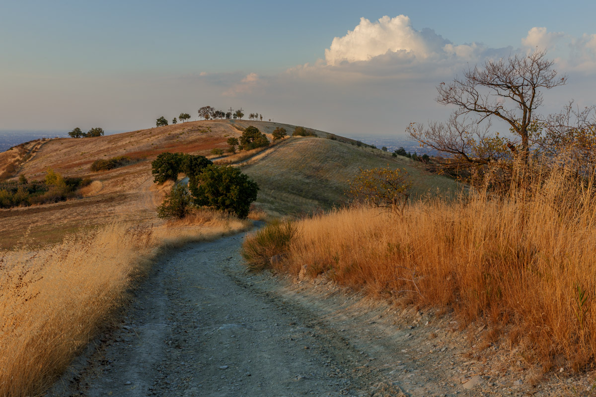 Verso Poggio Grande/Monte Croce