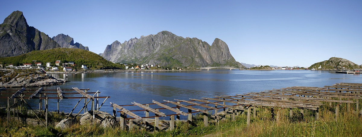 Reine
