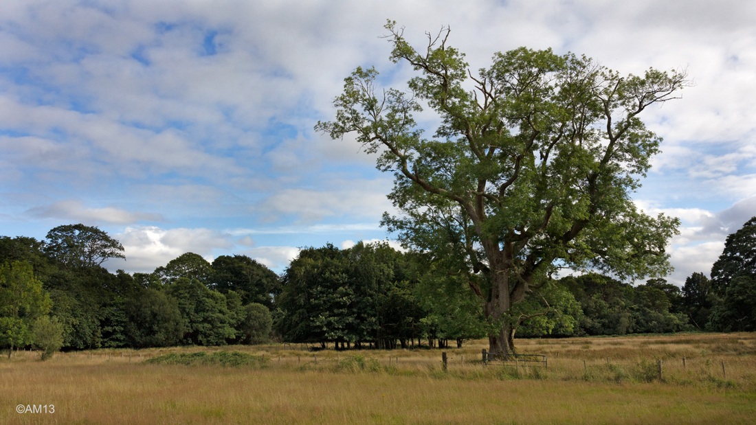 Killarney National Park