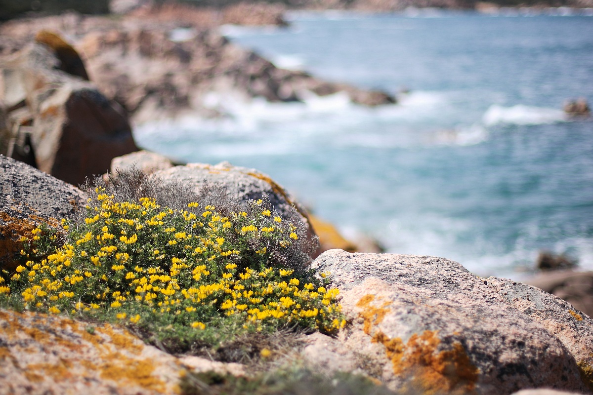 capo ceraso-SARDEGNA