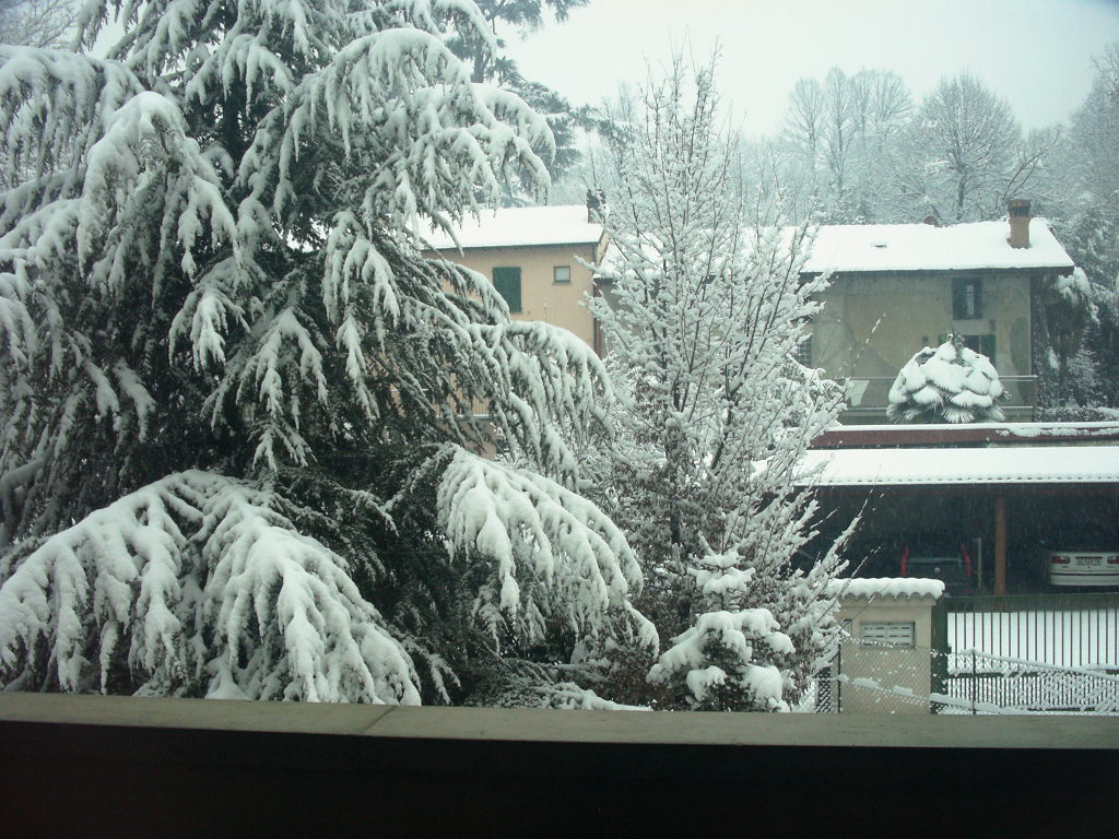 the snow behind the house
