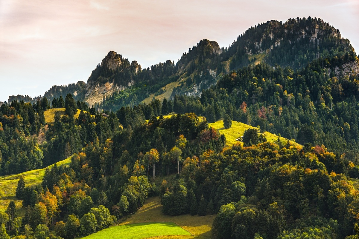 Fribourg - Charmey - View from Vounetz
