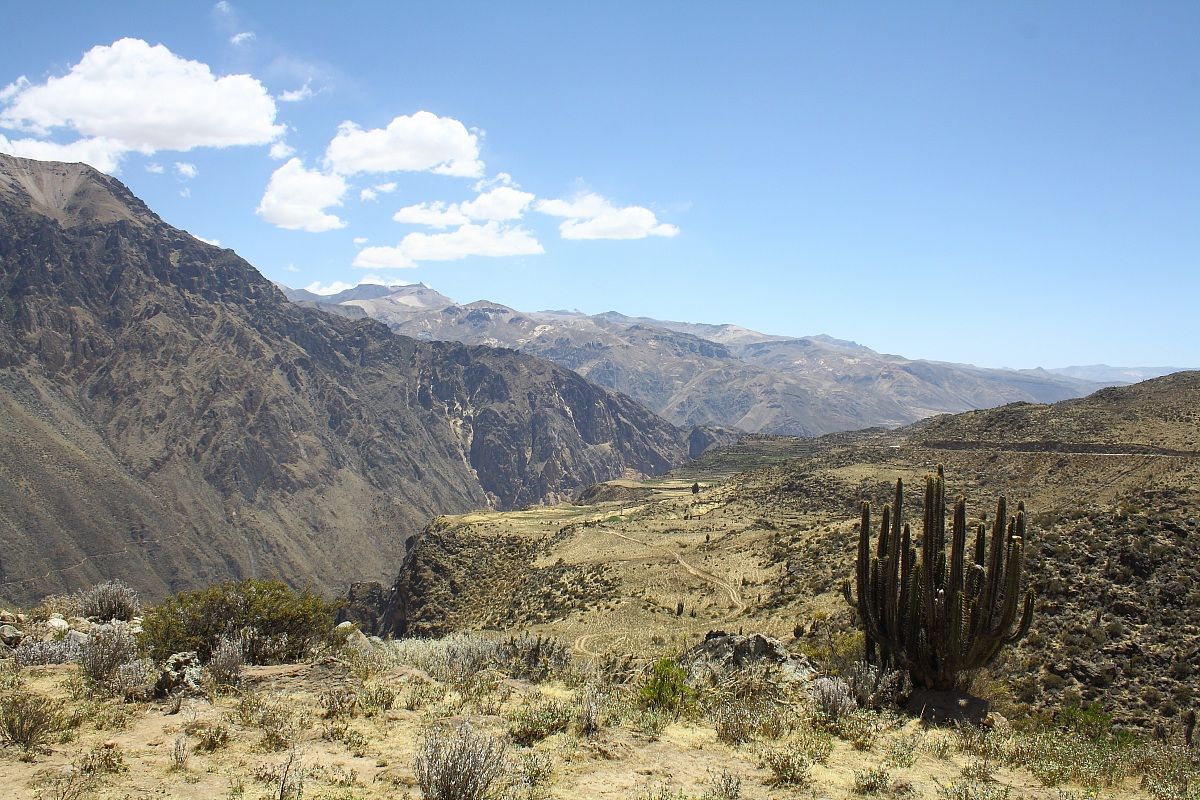 canyon della colca-perù