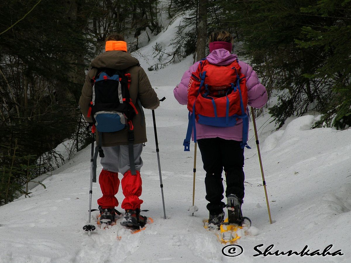 Vieni c'è una casa nel bosco ...................