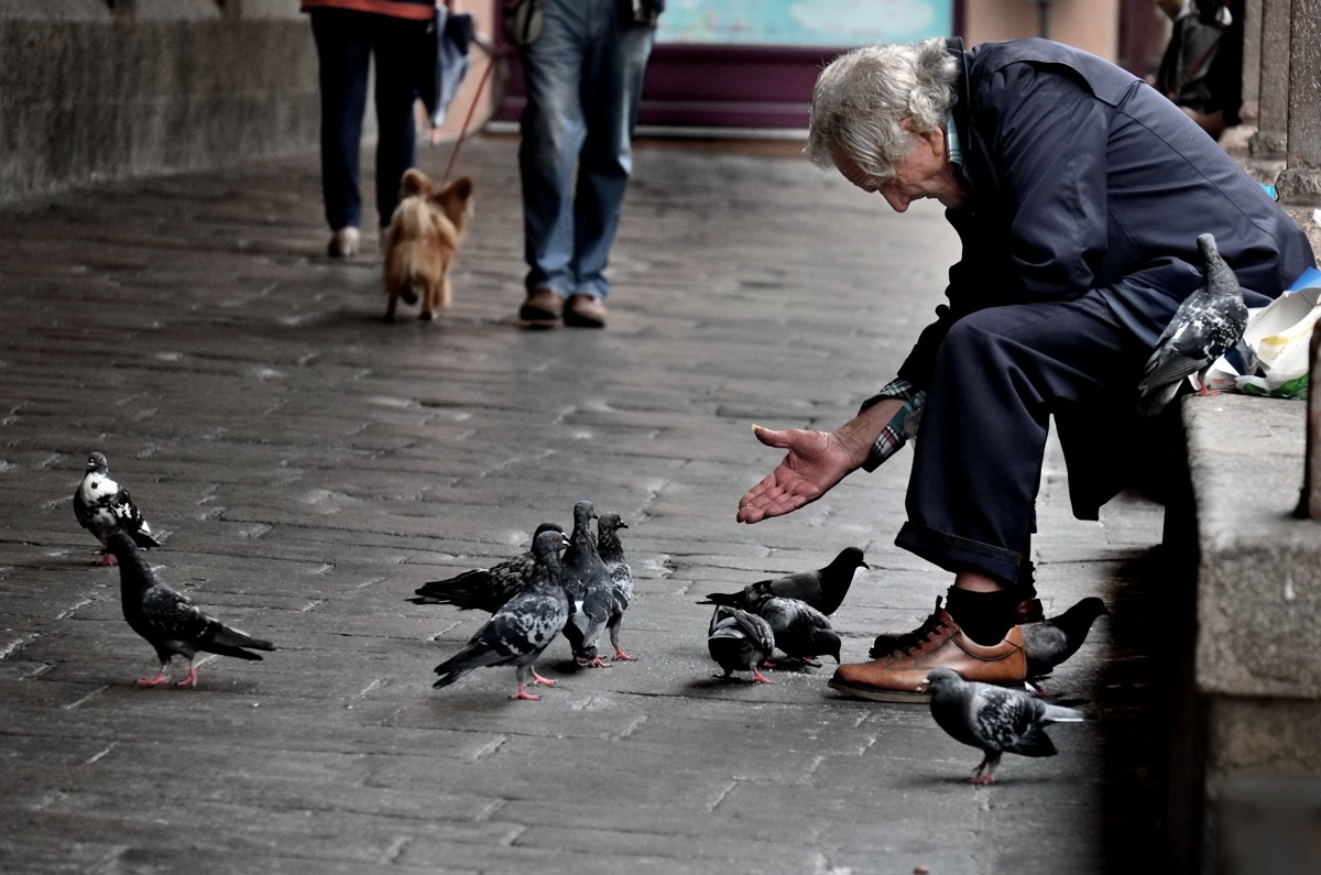 L'uomo che sussurrava ai colombi