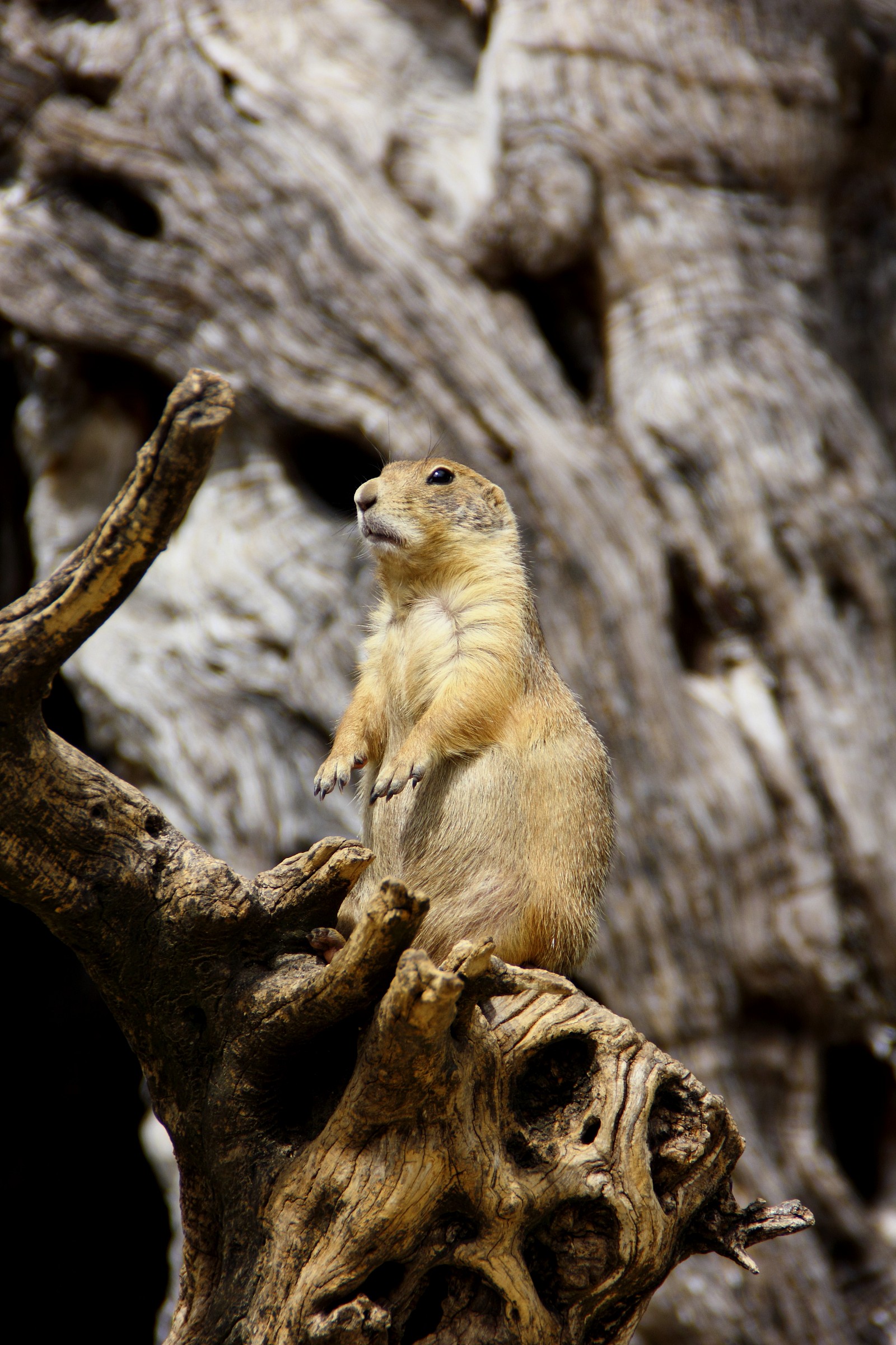 E mo mettiamoci in posa...:)