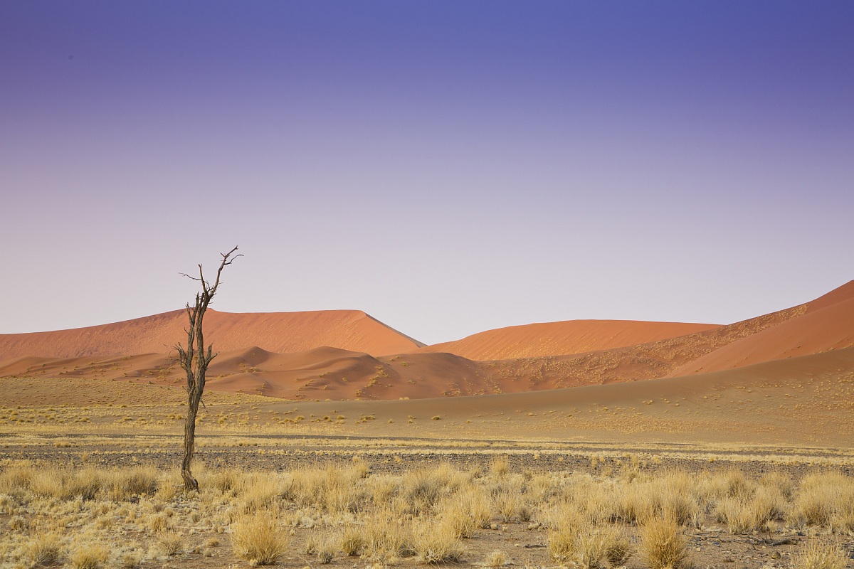 The colors of the Namib