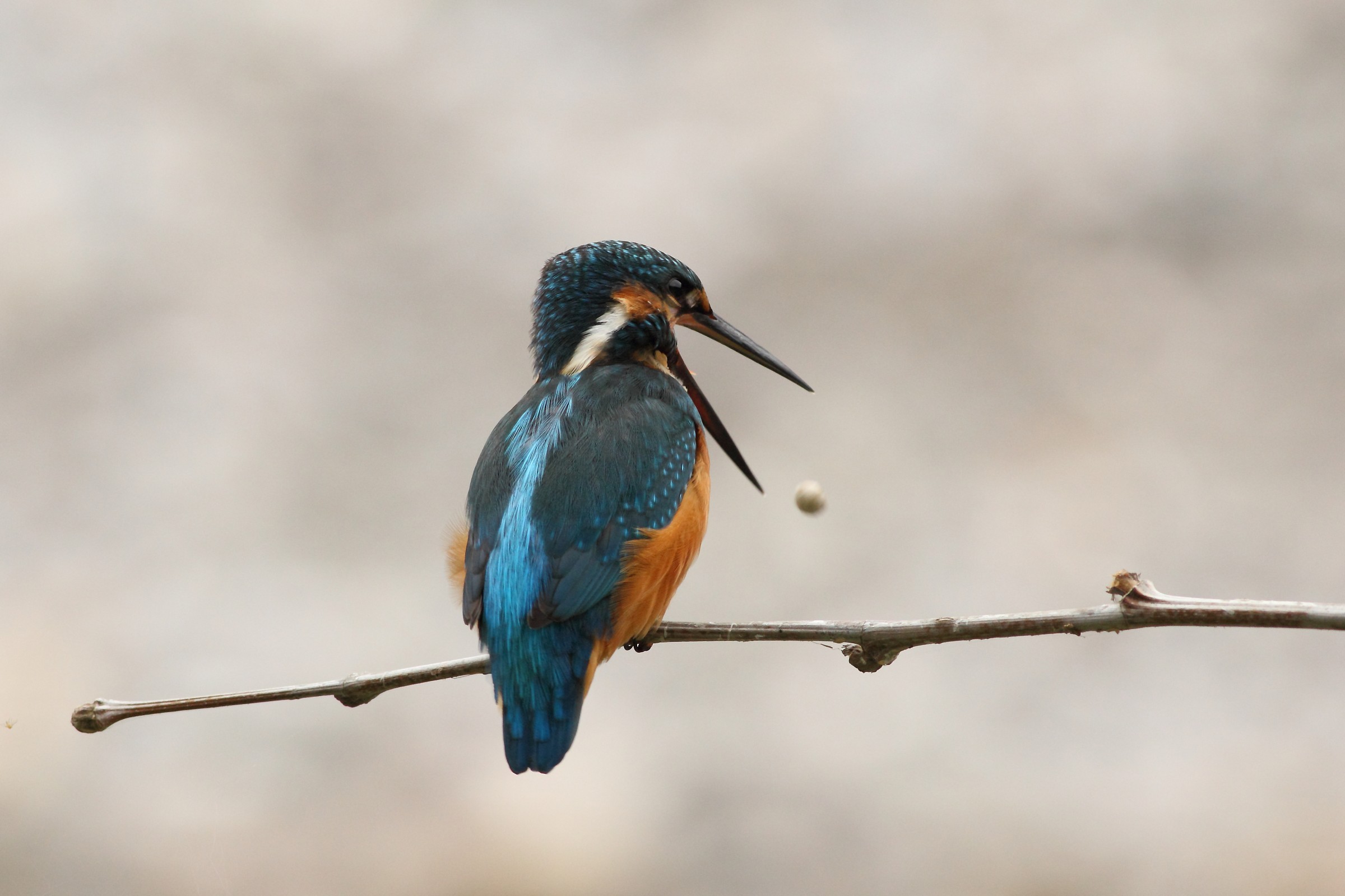 Alleggeriamo the load!